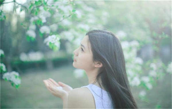 行唐验血查男女几周可以验(验血查男女结果图)